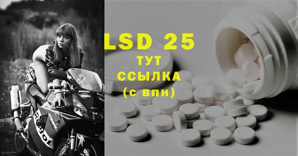 ПСИЛОЦИБИНОВЫЕ ГРИБЫ Алексеевка