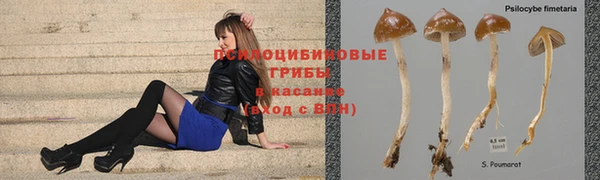 меф Абинск
