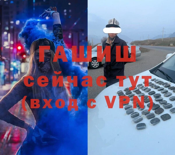 гидра Абаза