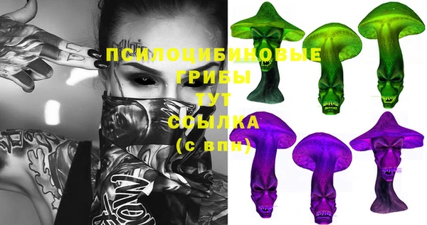 сатива Абдулино