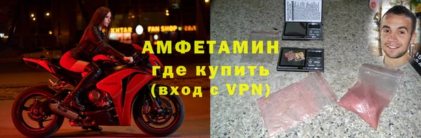 гидра Абаза