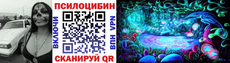 где можно купить наркотик  Котовск  Псилоцибиновые грибы прущие грибы 