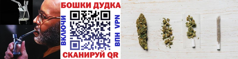 Конопля ГИДРОПОН  купить наркотик  Котовск 